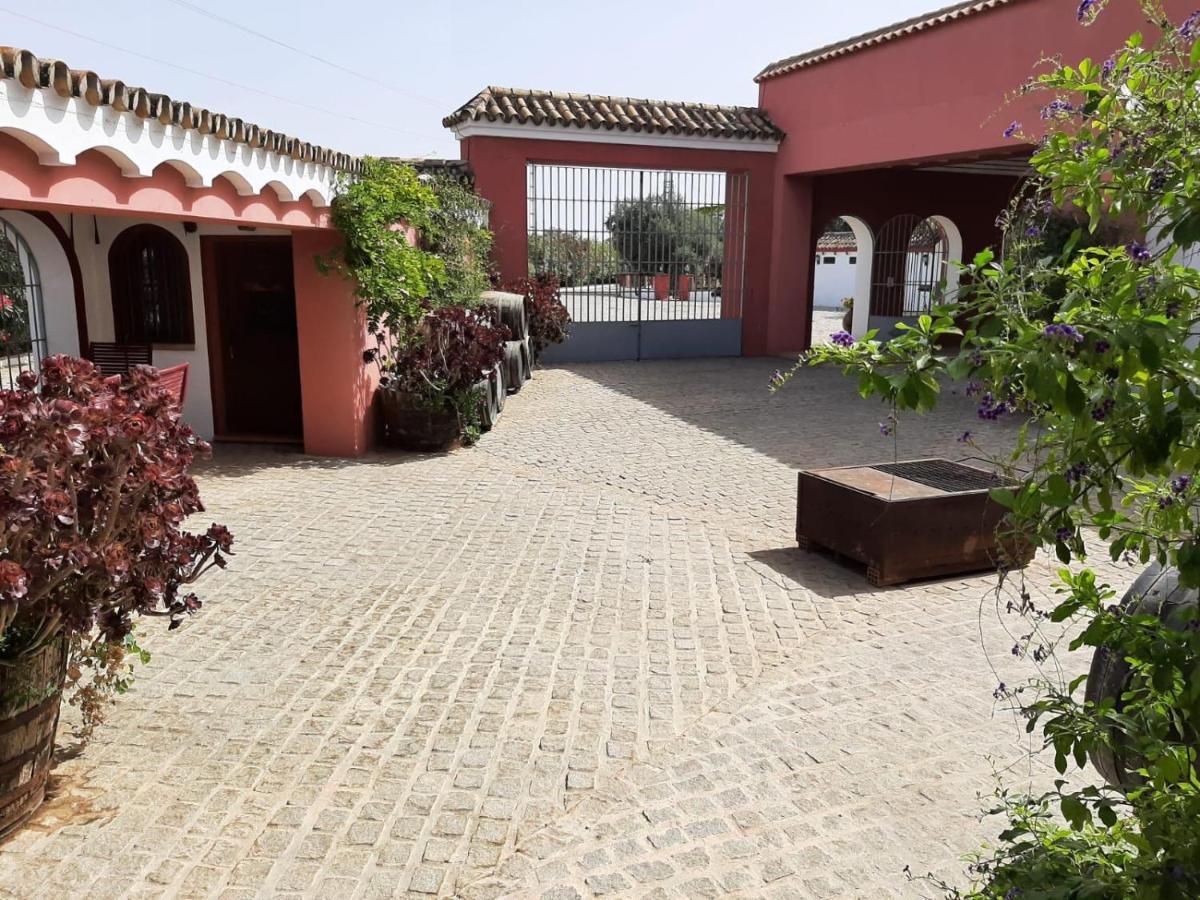 Finca Rural La Canera 16 Huespedes Seville Ngoại thất bức ảnh