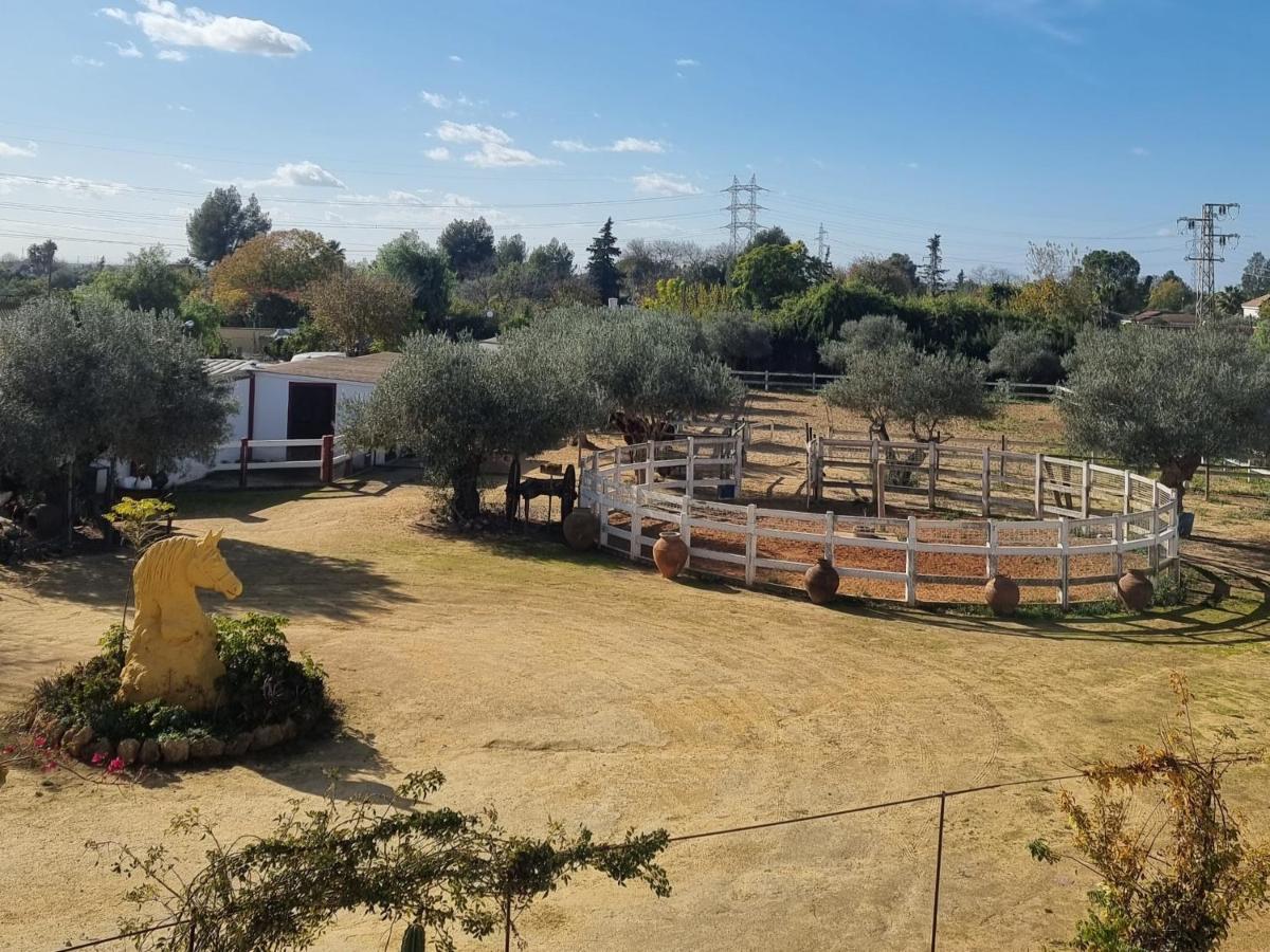 Finca Rural La Canera 16 Huespedes Seville Ngoại thất bức ảnh